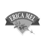 Erica Mel